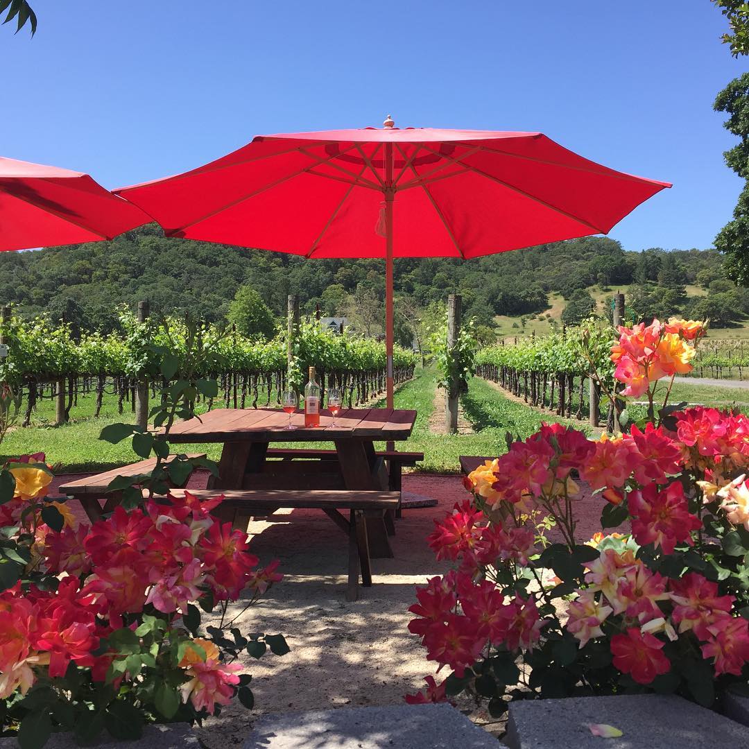 Picnic table under a red umbrella with roses and vineyard views